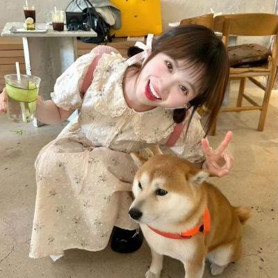求生旅程